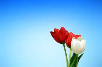 手机号自动轰炸