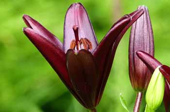 电话号码轰炸app