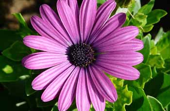 在线手机号呼死你