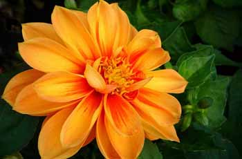 短信免费轰炸网页