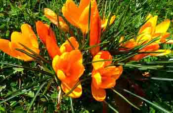 云呼讨债神器软件