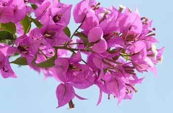 在线手机号呼死你